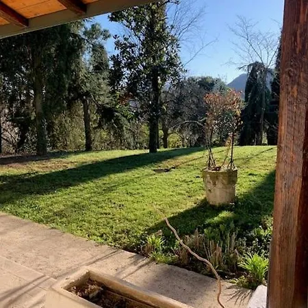 Il Bagolaro